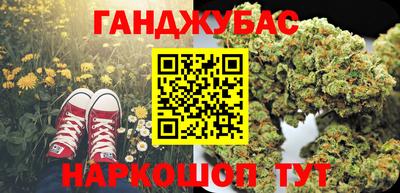 мяу мяу мука Гай