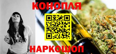 мяу мяу мука Гай