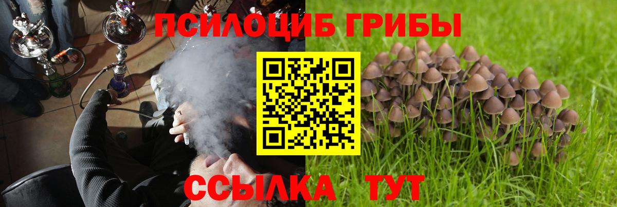 Псилоцибиновые грибы прущие грибы Саянск